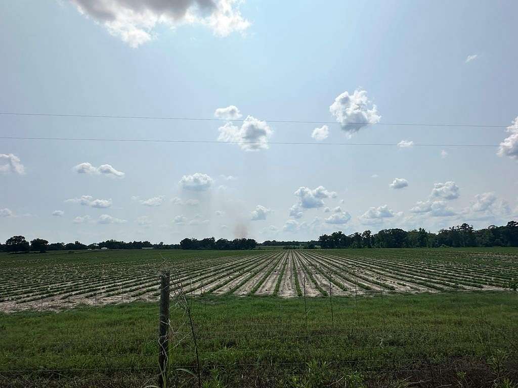 20 Acres of Agricultural & Residential Land for Sale in Slocomb, Alabama