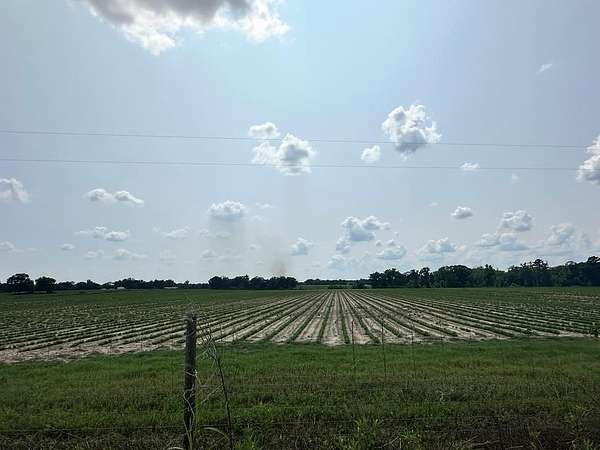 20 Acres of Agricultural & Residential Land for Sale in Slocomb, Alabama
