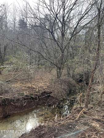 56 Acres of Agricultural & Residential Land for Sale in Madisonville, Tennessee