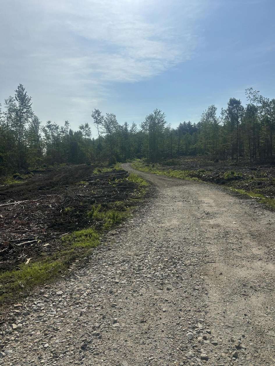 82 Acres of Recreational Land for Sale in Mercer, Maine