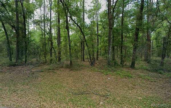0.23 Acres of Residential Land for Sale in Citrus Springs, Florida