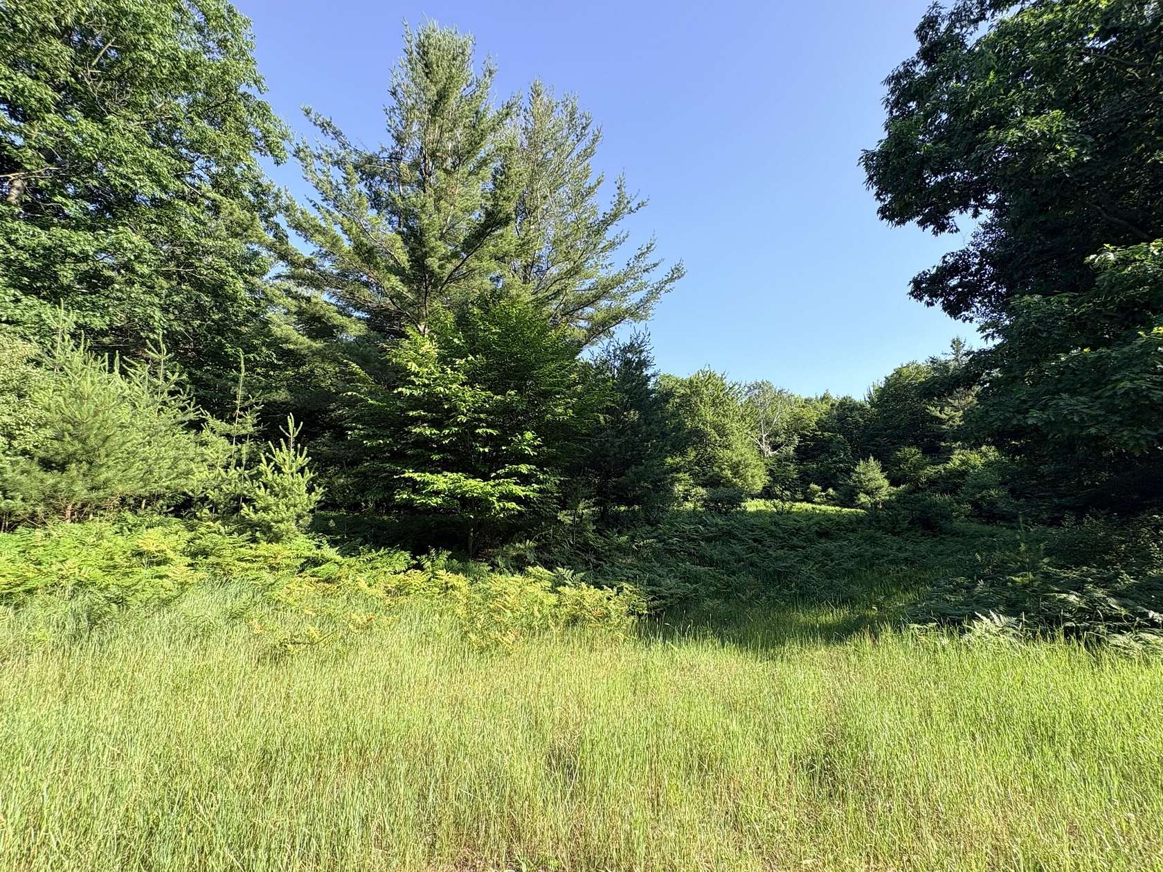 6.34 Acres of Residential Land for Sale in Manistee, Michigan
