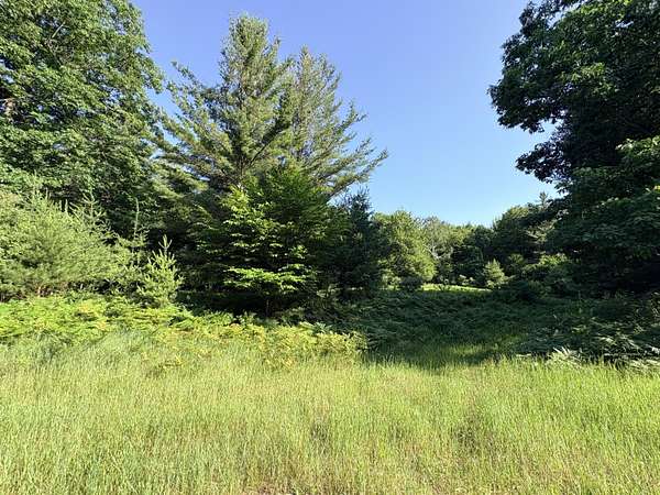6.34 Acres of Residential Land for Sale in Manistee, Michigan