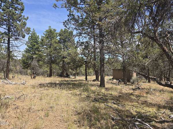 5.42 Acres of Residential Land for Sale in Bonanza, Oregon