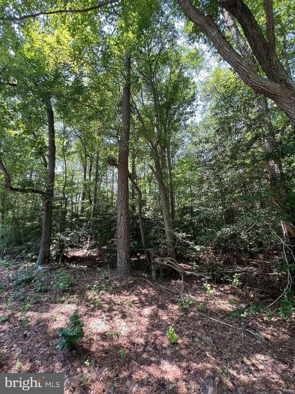 0.59 Acres of Residential Land for Sale in Milton, Delaware