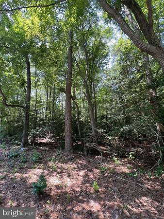 0.59 Acres of Residential Land for Sale in Milton, Delaware