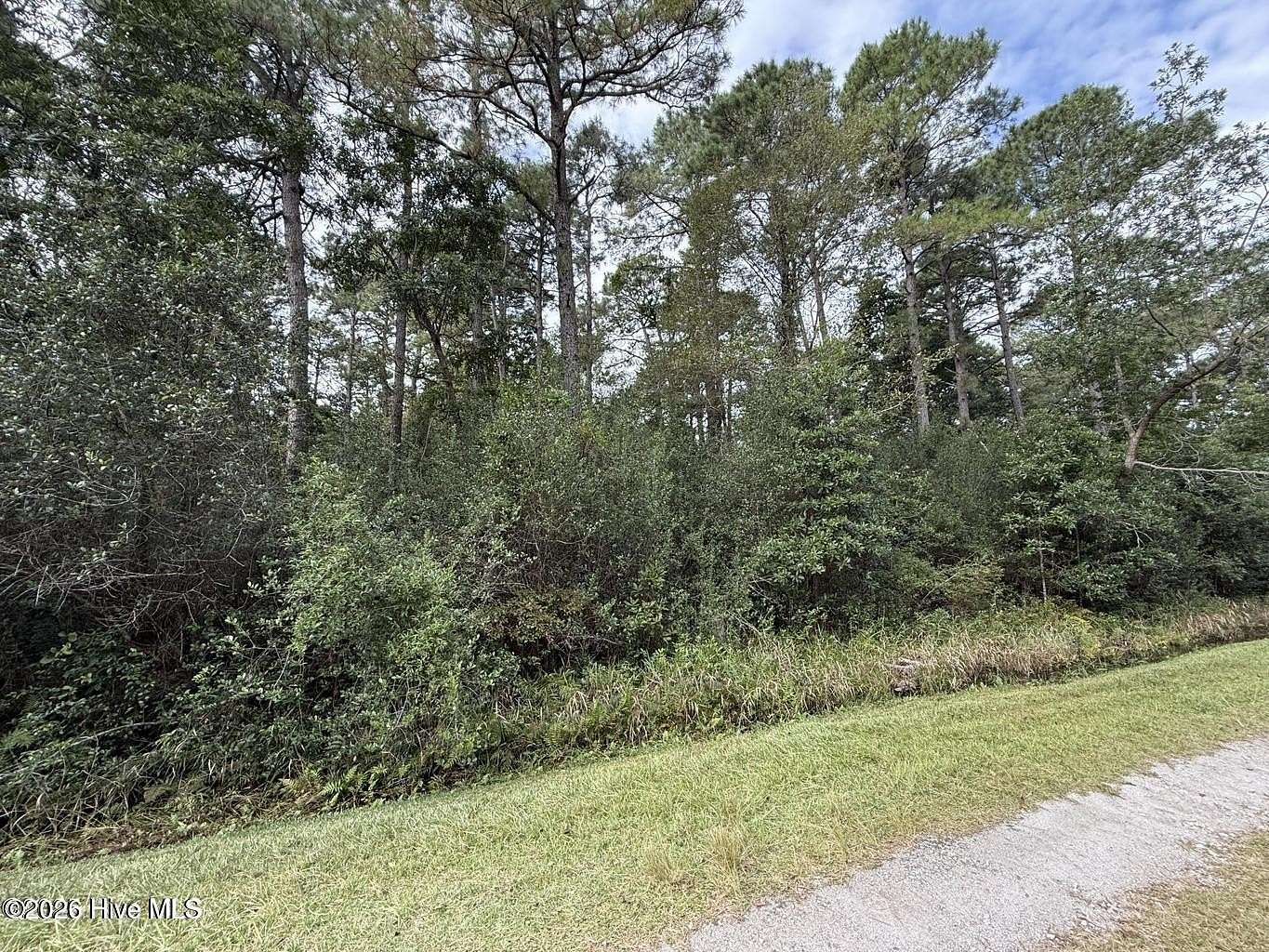 0.24 Acres of Residential Land for Sale in Boiling Spring Lakes, North Carolina