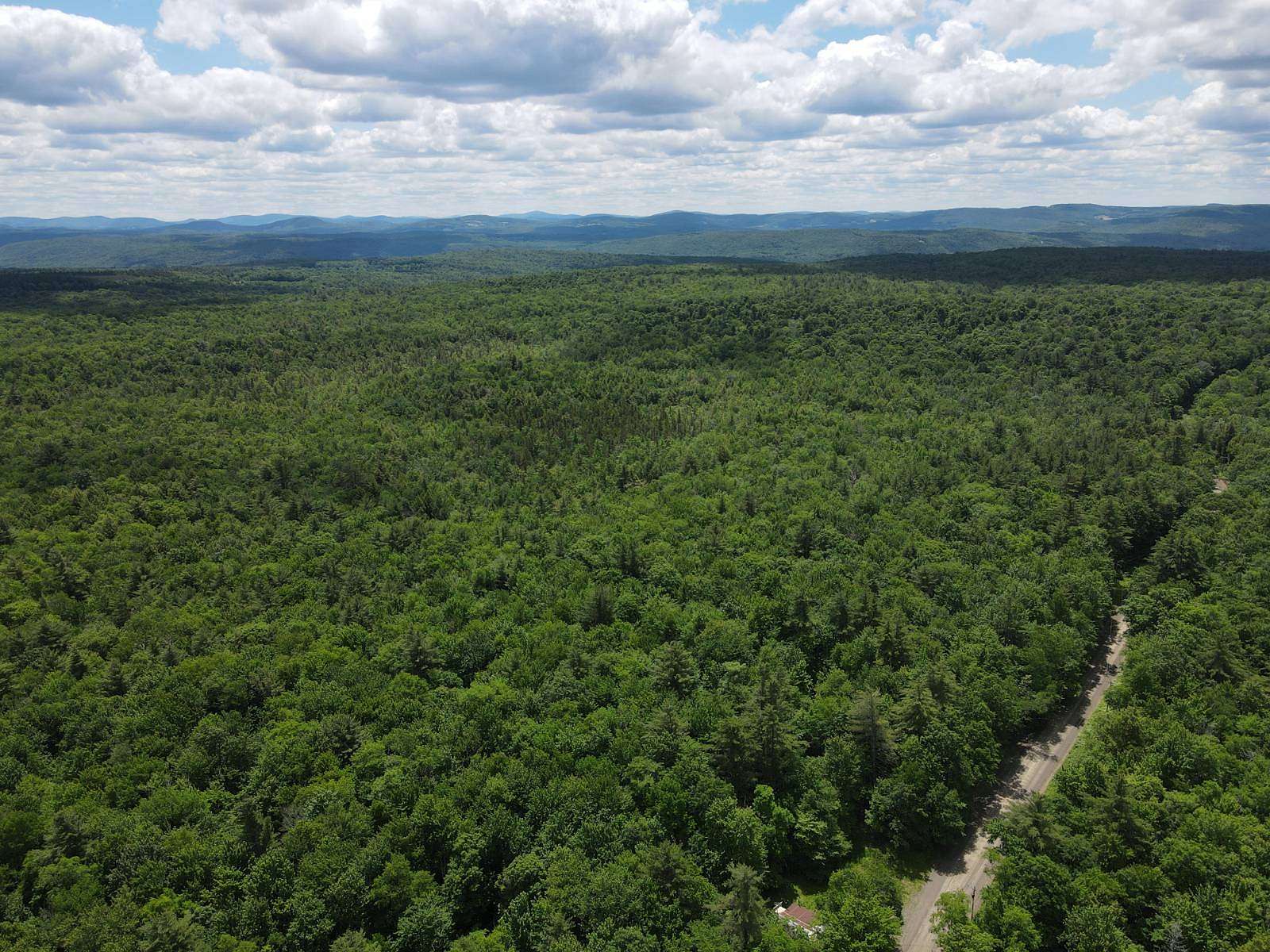33.4 Acres of Recreational & Residential Land for Sale in Maryland, New York