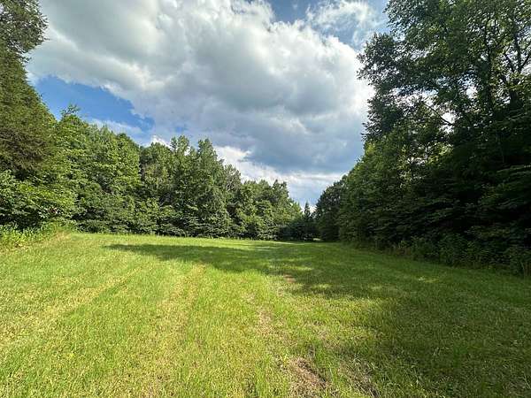 98.4 Acres of Agricultural Land for Sale in Burkesville, Kentucky