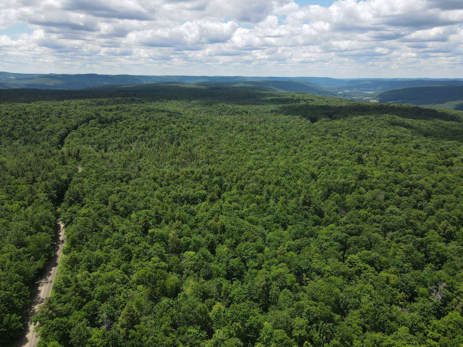 55.2 Acres of Recreational & Residential Land for Sale in Maryland, New York