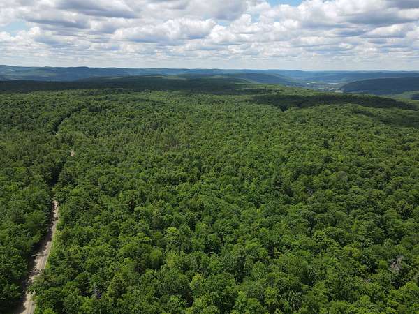 55.2 Acres of Recreational & Residential Land for Sale in Maryland, New York