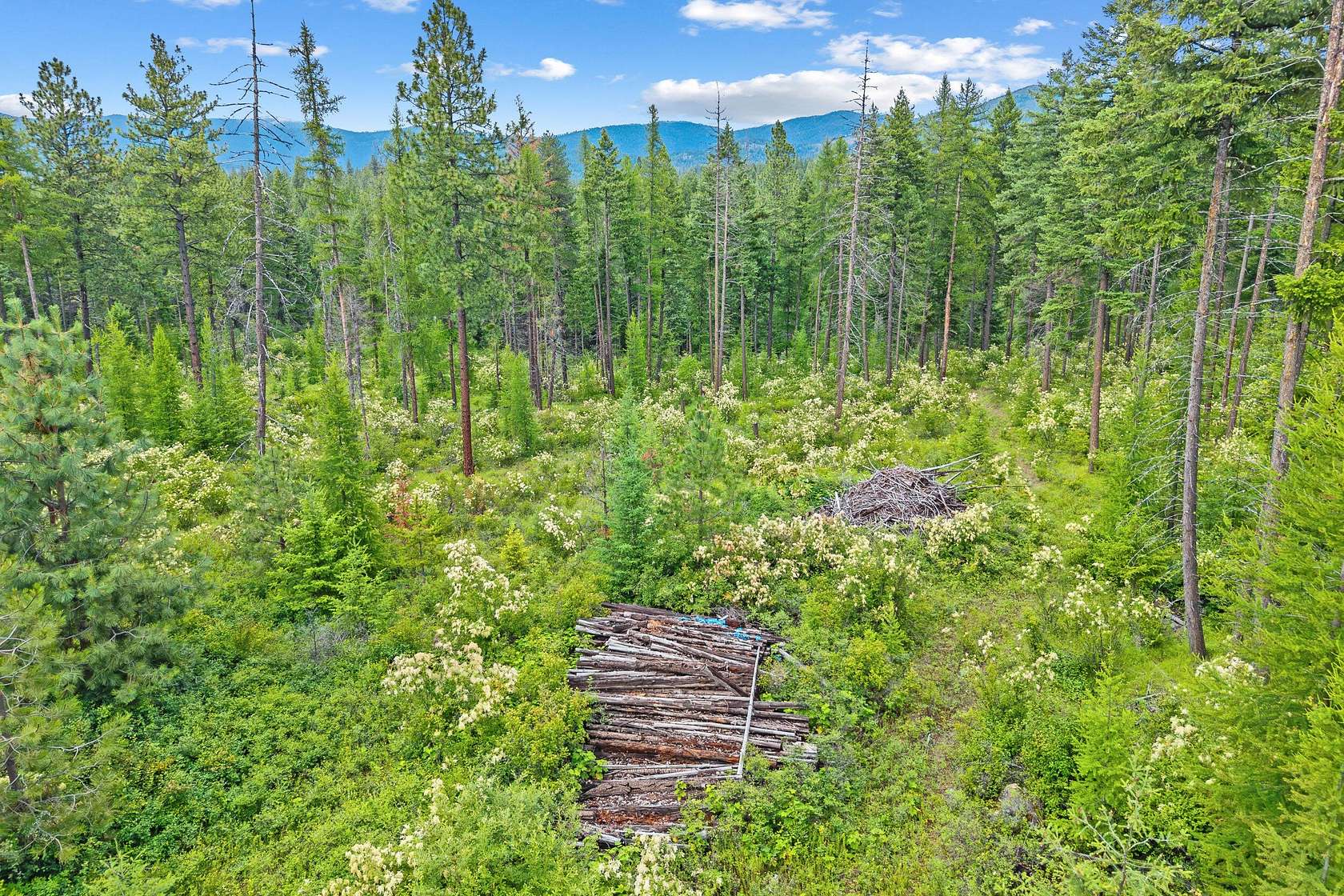 19.3 Acres of Recreational & Residential Land for Sale in Loon Lake, Washington