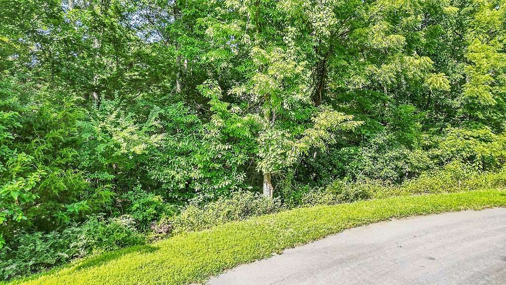 0.32 Acres of Residential Land for Sale in Bella Vista, Arkansas