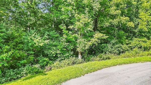 0.32 Acres of Residential Land for Sale in Bella Vista, Arkansas