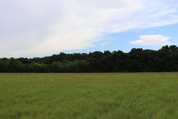 39 Acres of Land for Sale in Lewisburg, Tennessee