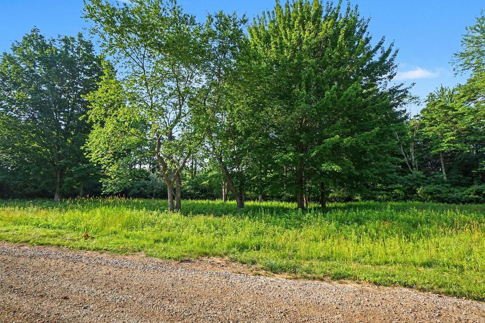 0.23 Acres of Residential Land for Sale in South Haven, Michigan