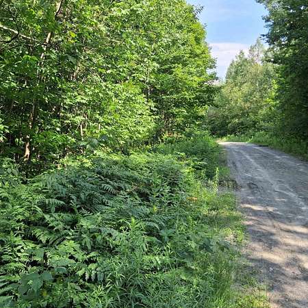 52.2 Acres of Recreational & Residential Land for Sale in Westfield, Vermont