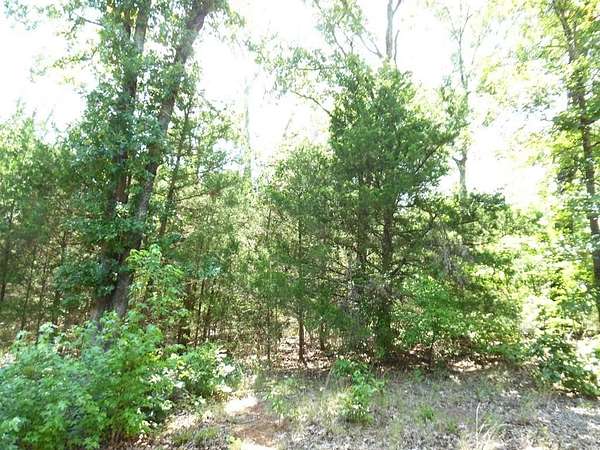 0.21 Acres of Residential Land for Sale in Murchison, Texas