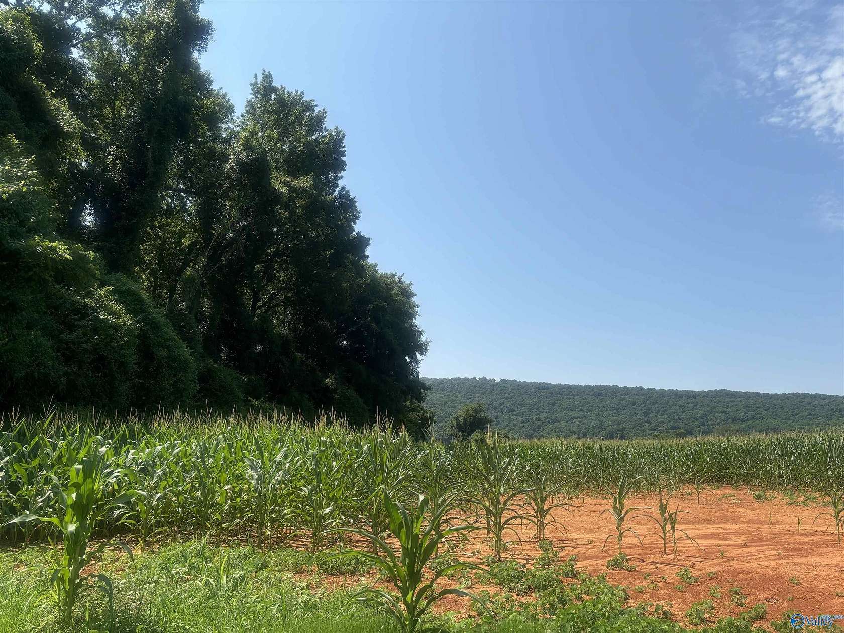99 Acres of Recreational & Residential Land for Sale in New Market, Alabama