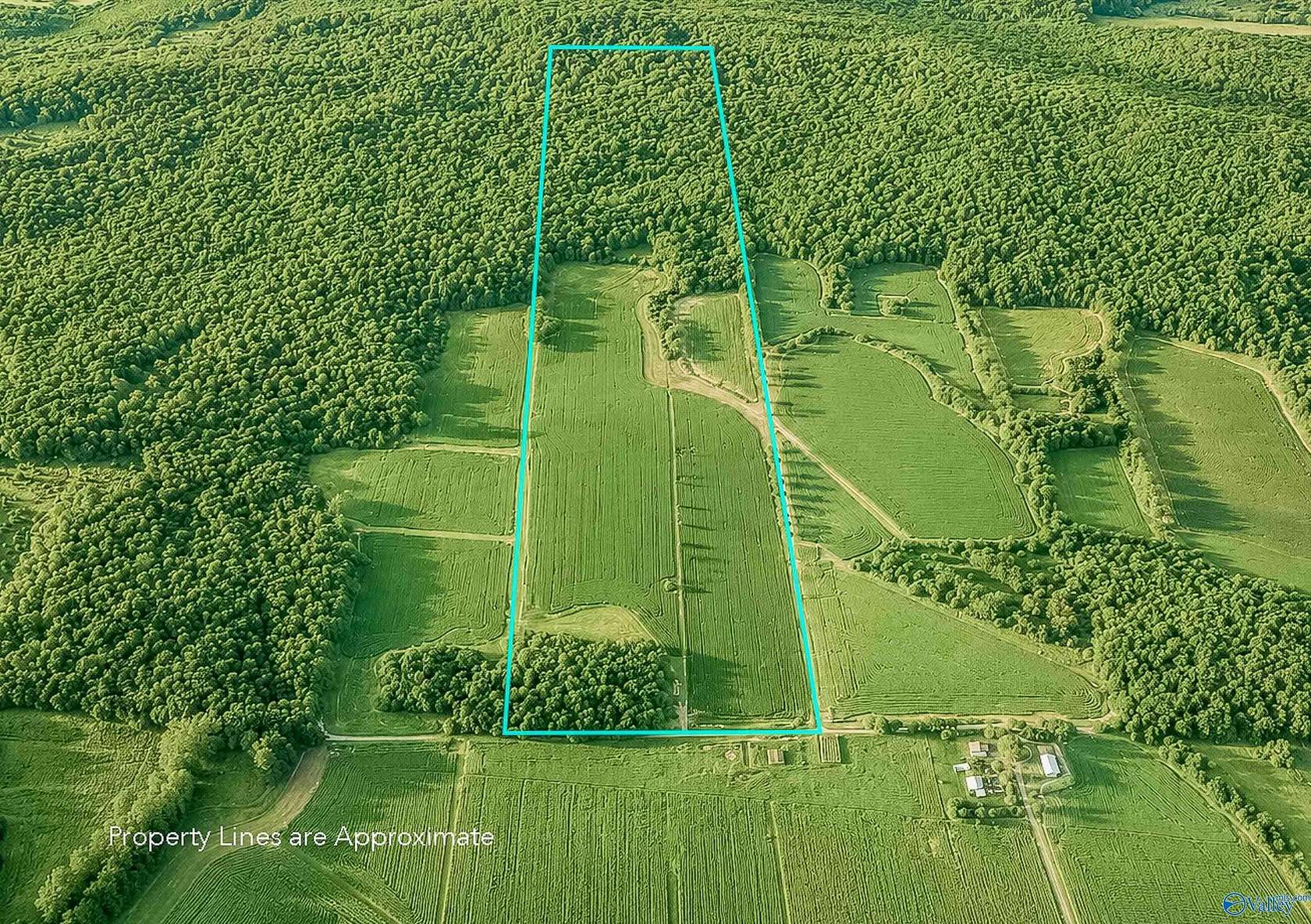 99 Acres of Recreational & Residential Land for Sale in New Market, Alabama