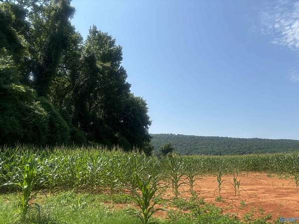 99 Acres of Recreational & Residential Land for Sale in New Market, Alabama