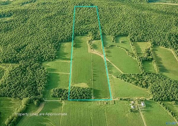 99 Acres of Recreational & Residential Land for Sale in New Market, Alabama