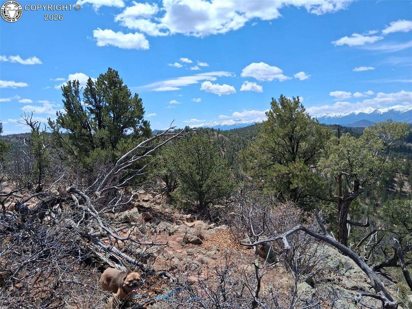 4.58 Acres of Residential Land for Sale in Cotopaxi, Colorado