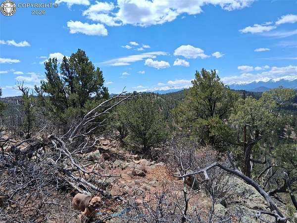 4.58 Acres of Residential Land for Sale in Cotopaxi, Colorado