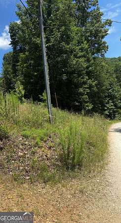 0.87 Acres of Residential Land for Sale in Clermont, Georgia