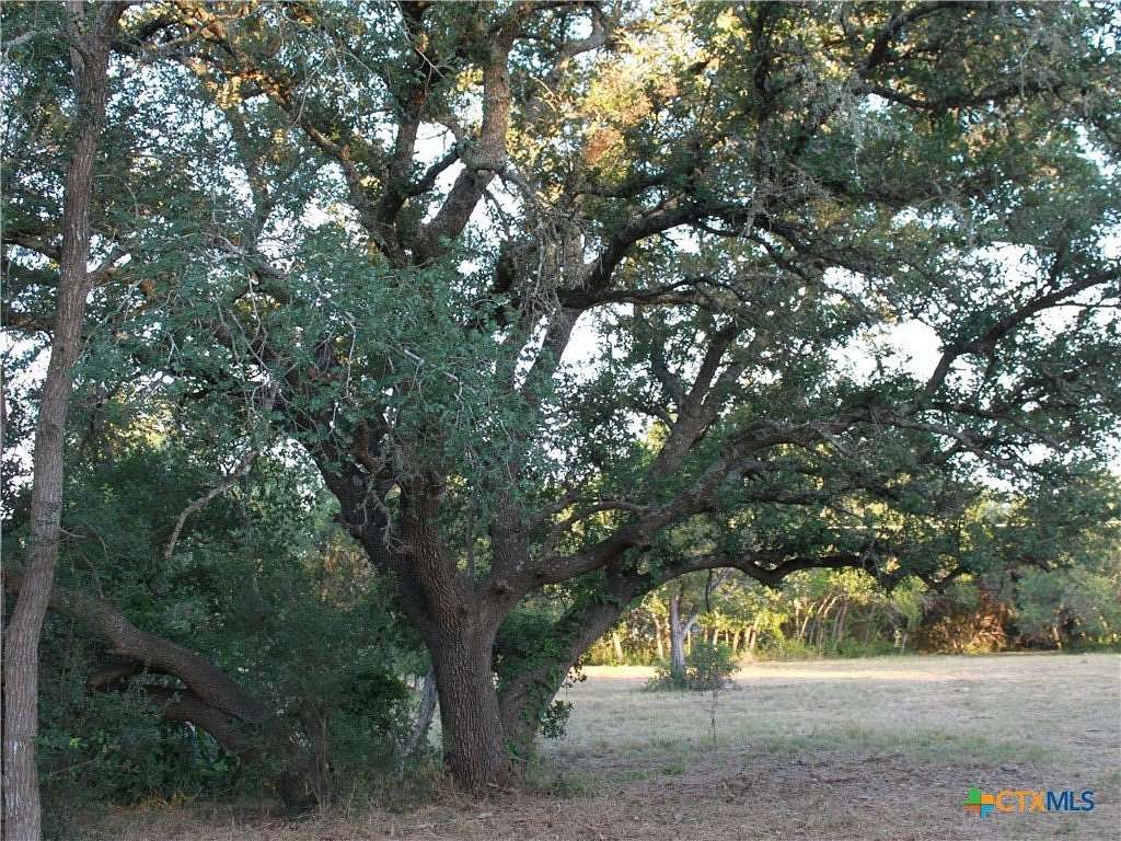 3 Acres of Residential Land for Sale in Driftwood, Texas