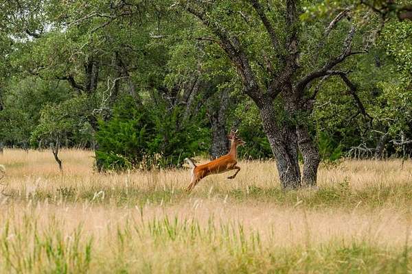 4.3 Acres of Residential Land for Sale in Harper, Texas