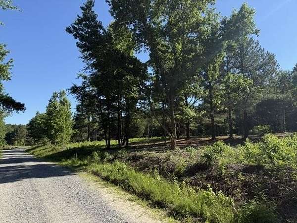 60 Acres of Land for Sale in Pageland, South Carolina