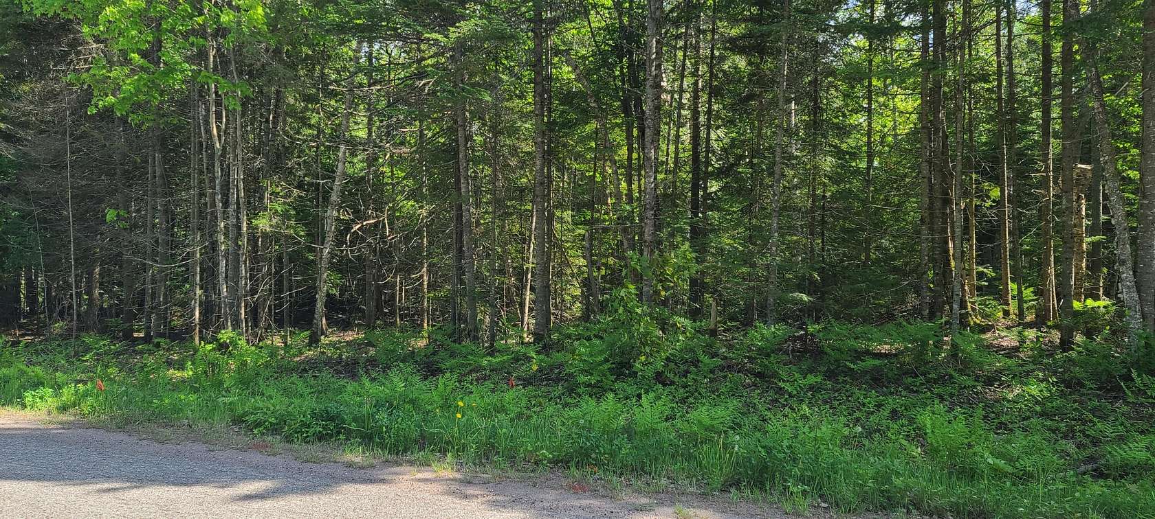 1.34 Acres of Residential Land for Sale in Sault Ste. Marie, Michigan
