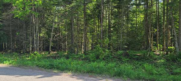 1.34 Acres of Residential Land for Sale in Sault Ste. Marie, Michigan