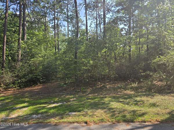 0.36 Acres of Residential Land for Sale in Pinehurst, North Carolina