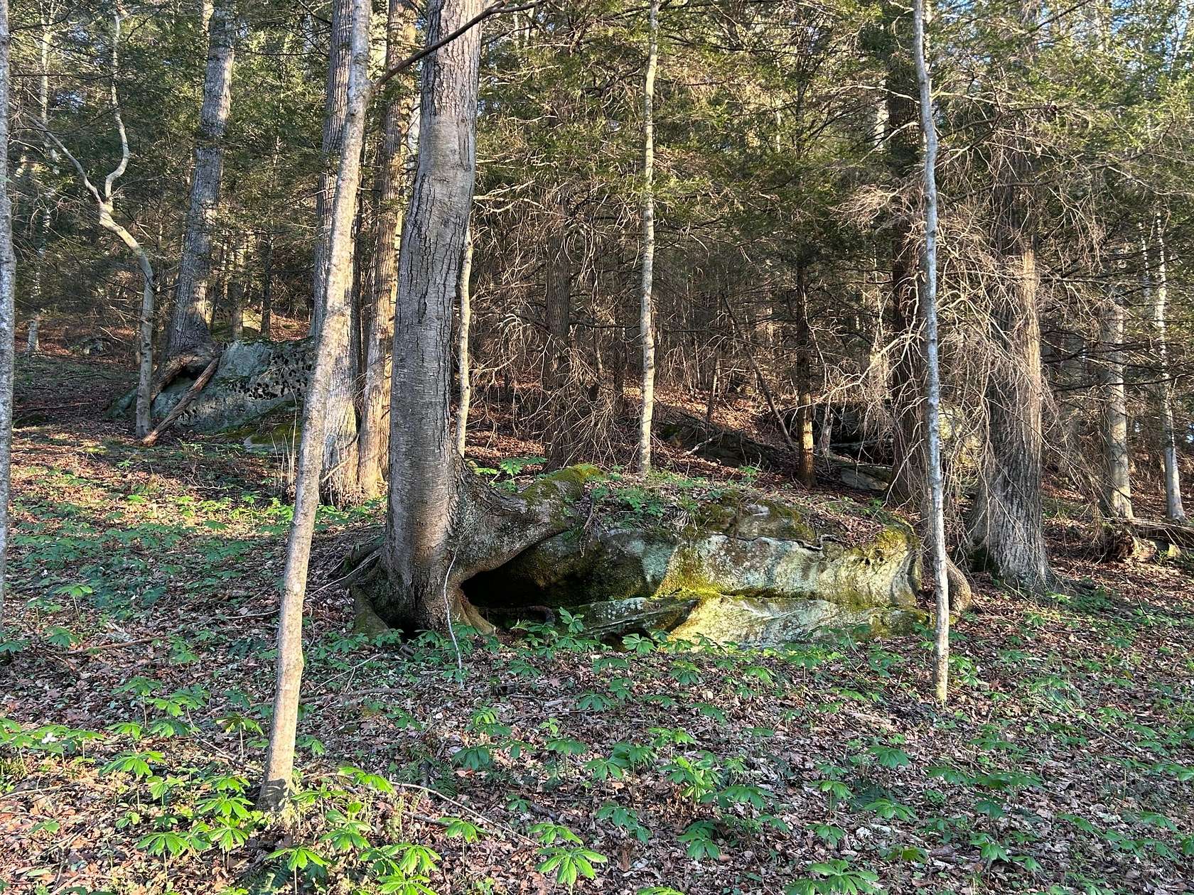 12.5 Acres of Mixed-Use Land for Sale in Rockbridge, Ohio