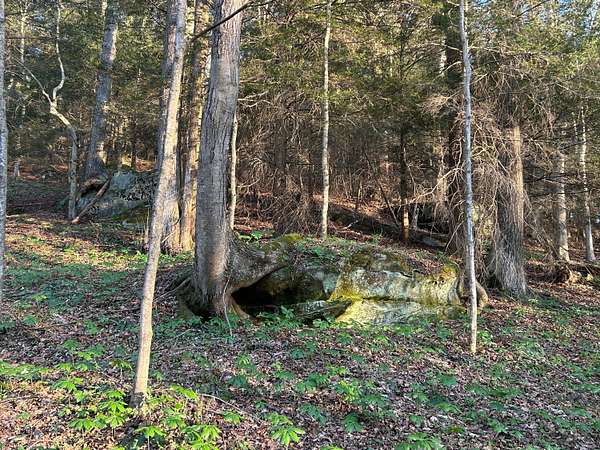 12.5 Acres of Mixed-Use Land for Sale in Rockbridge, Ohio