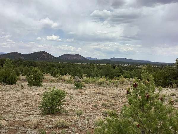 0.25 Acres of Land for Sale in Grants, New Mexico