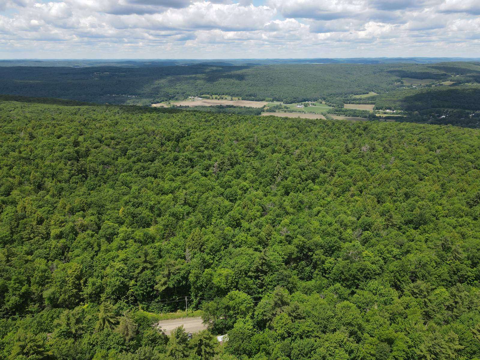 27 Acres of Recreational & Residential Land for Sale in Maryland, New York