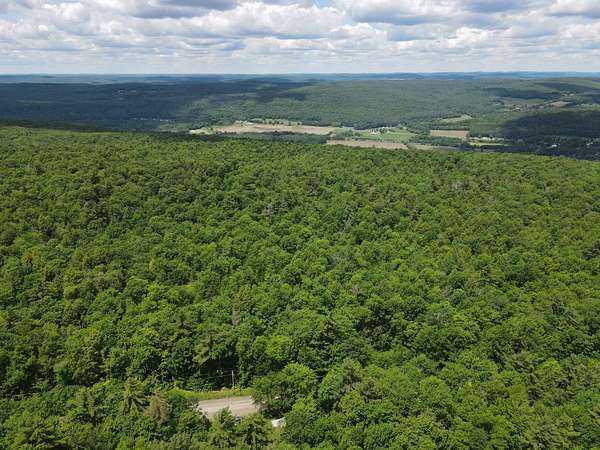 27 Acres of Recreational & Residential Land for Sale in Maryland, New York