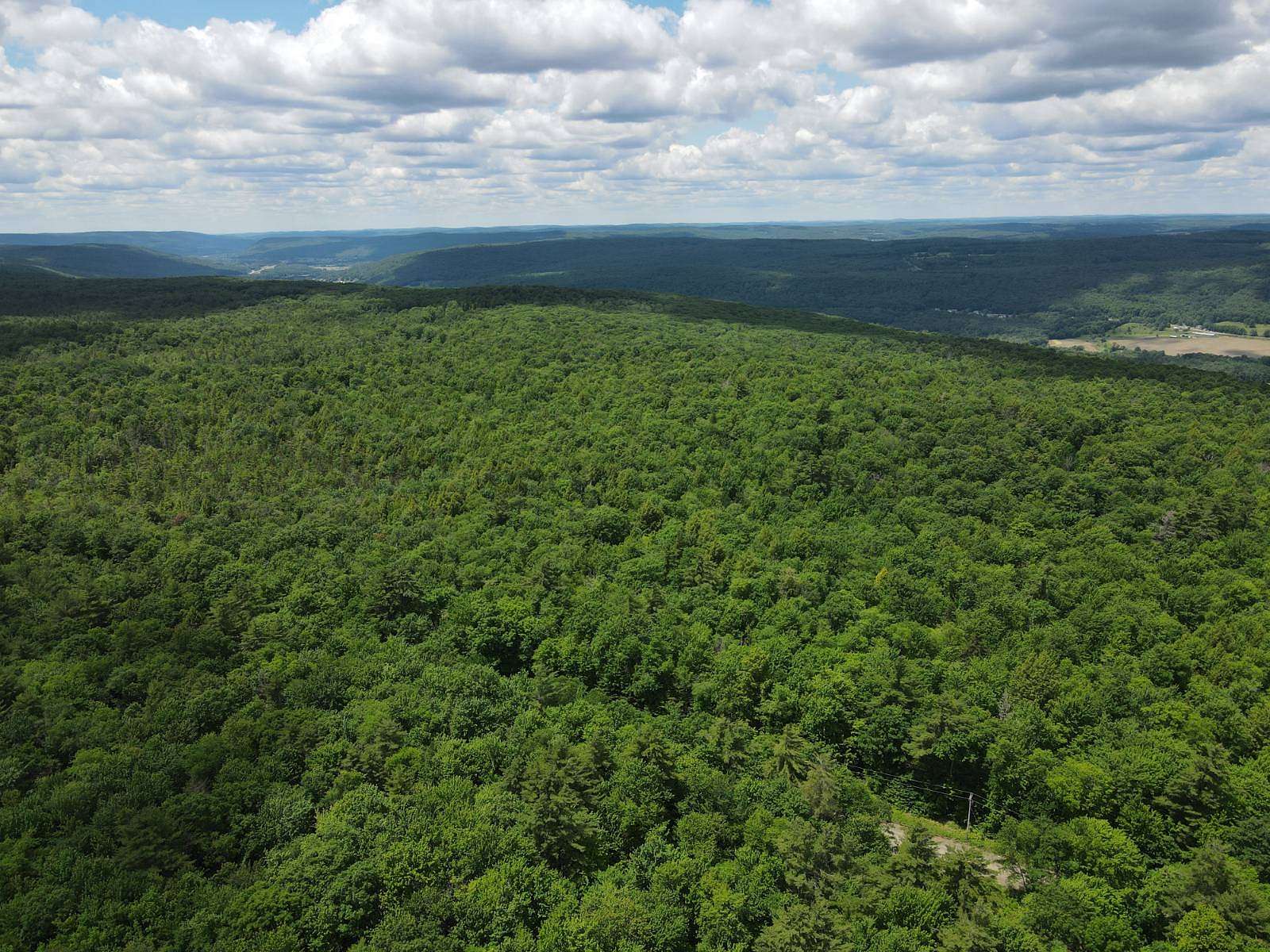72.1 Acres of Recreational & Residential Land for Sale in Maryland, New York