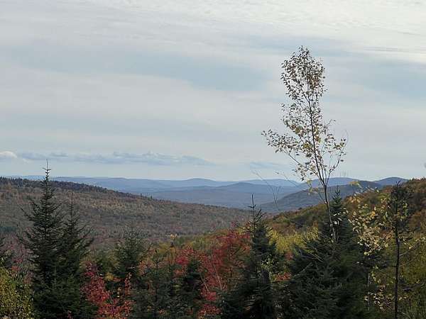 21 Acres of Recreational Land for Sale in Temple, Maine