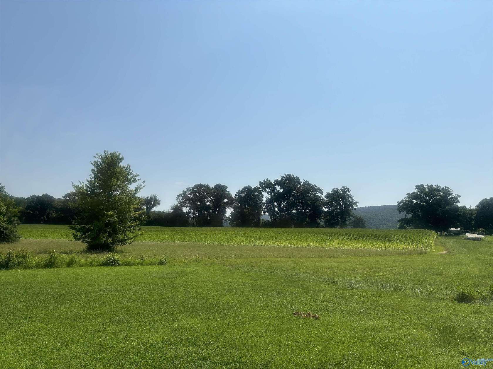 78 Acres of Agricultural & Residential Land for Sale in New Market, Alabama