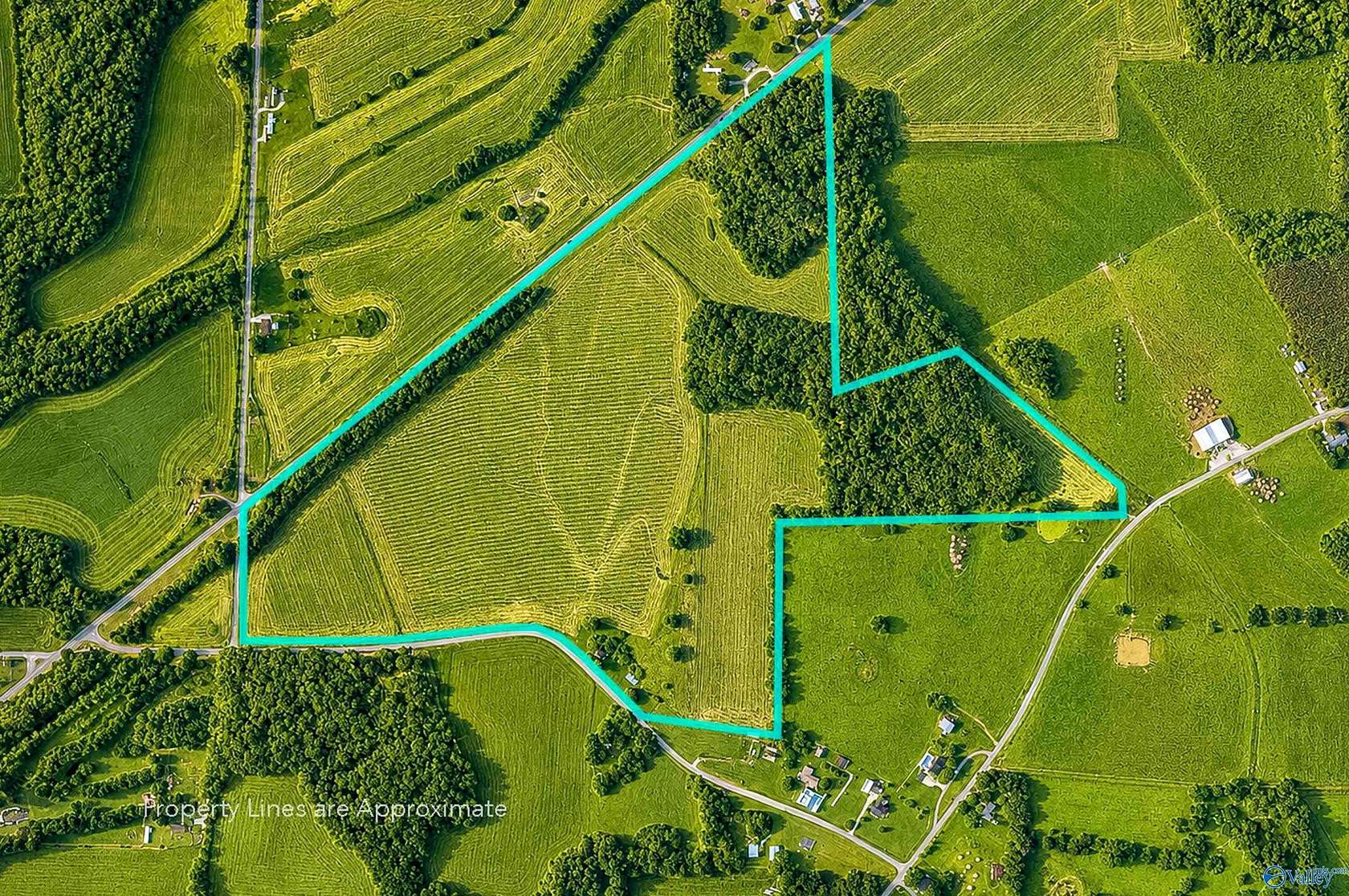 78 Acres of Agricultural & Residential Land for Sale in New Market, Alabama
