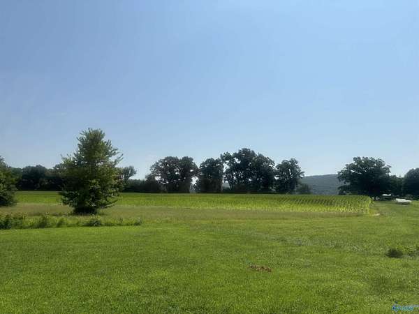 78 Acres of Agricultural & Residential Land for Sale in New Market, Alabama