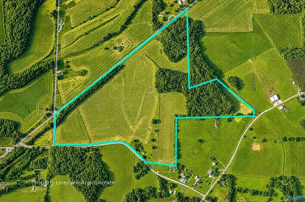 78 Acres of Agricultural & Residential Land for Sale in New Market, Alabama