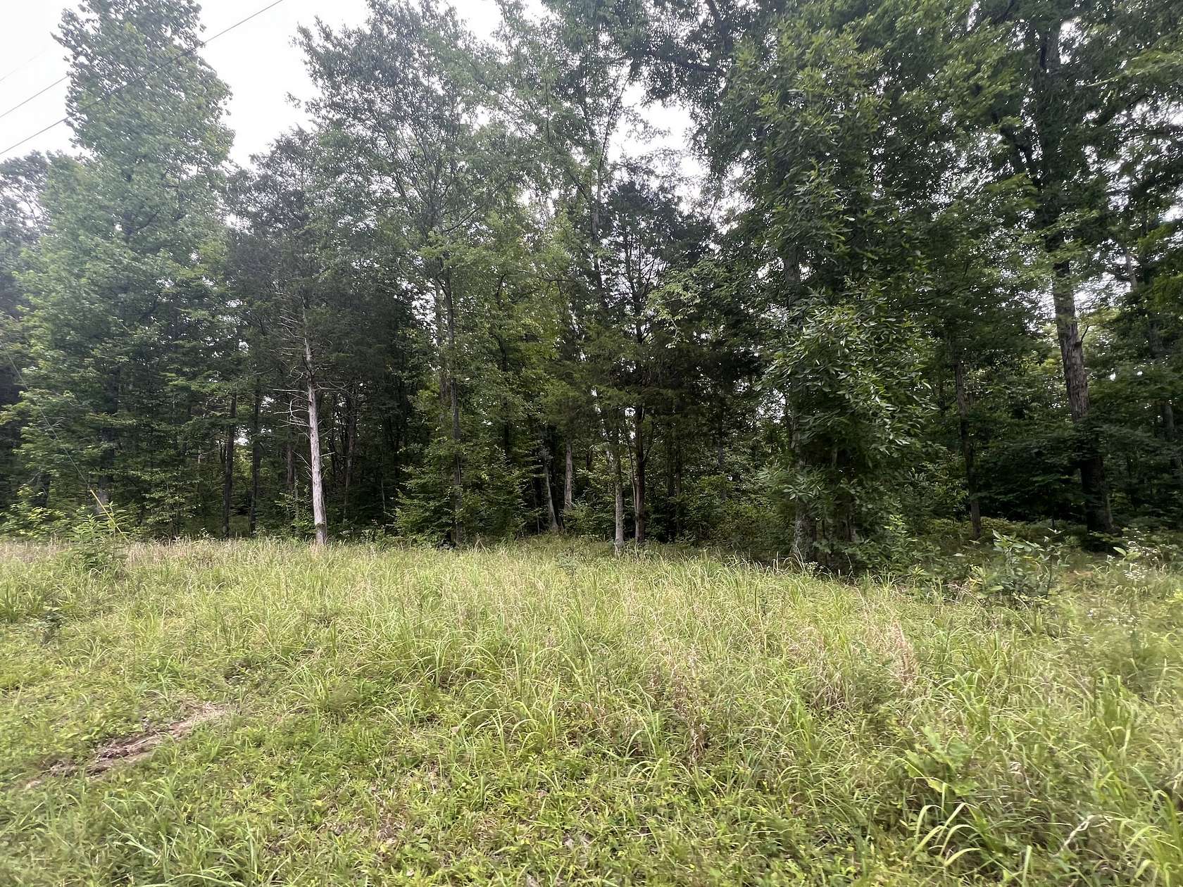 0.58 Acres of Residential Land for Sale in Linden, Tennessee