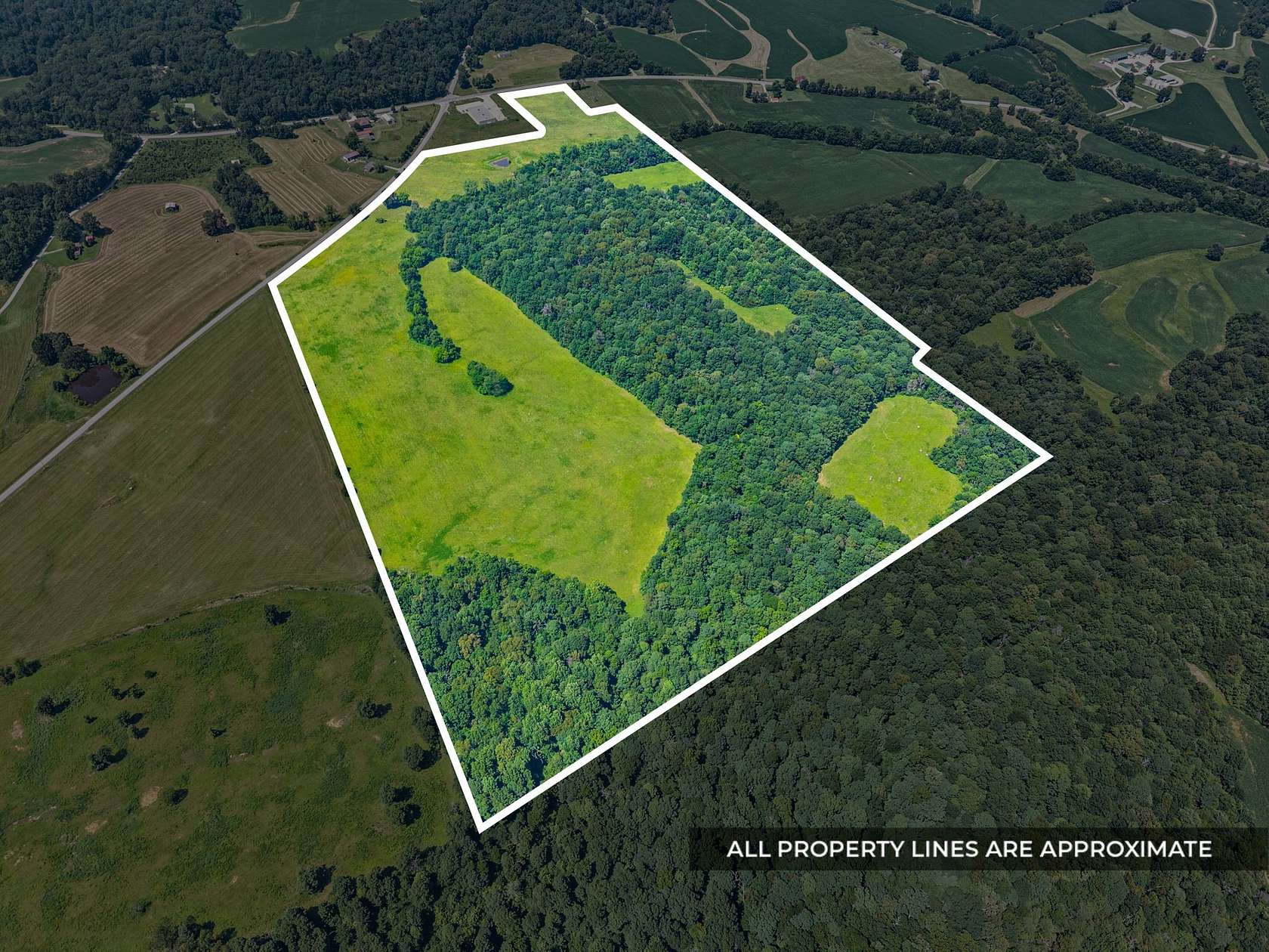 100 Acres of Land for Sale in Princeton, Kentucky