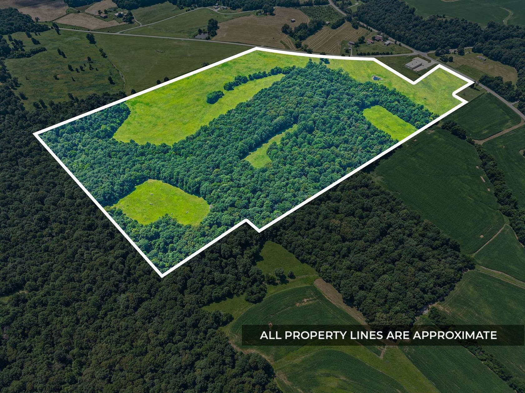 100 Acres of Land for Sale in Princeton, Kentucky