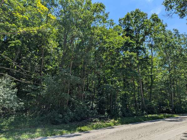 10 Acres of Residential Land for Sale in Gowen, Michigan